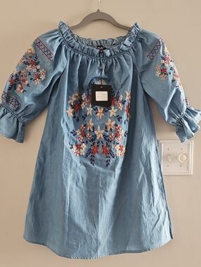 Parisian Light Blue Embroidered Ruffle-Neck Dress